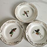Set of 8 Sparrows of Paris plates