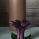Blown glass flower candle holder