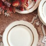 Set of 10 dessert plates Digoin Sarreguemines