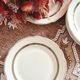 Set of 10 dessert plates Digoin Sarreguemines
