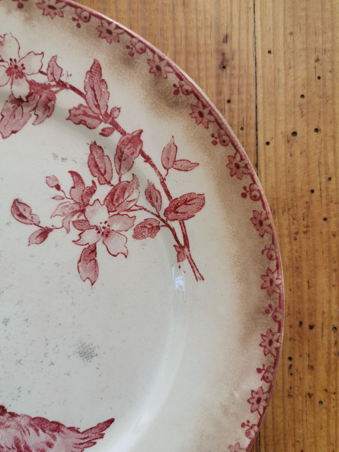 Assiettes anciennes Sarreguemines "Favori"