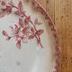 Old plates Sarreguemines "Favorite"