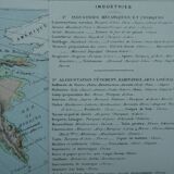 Map of Asia from 1884