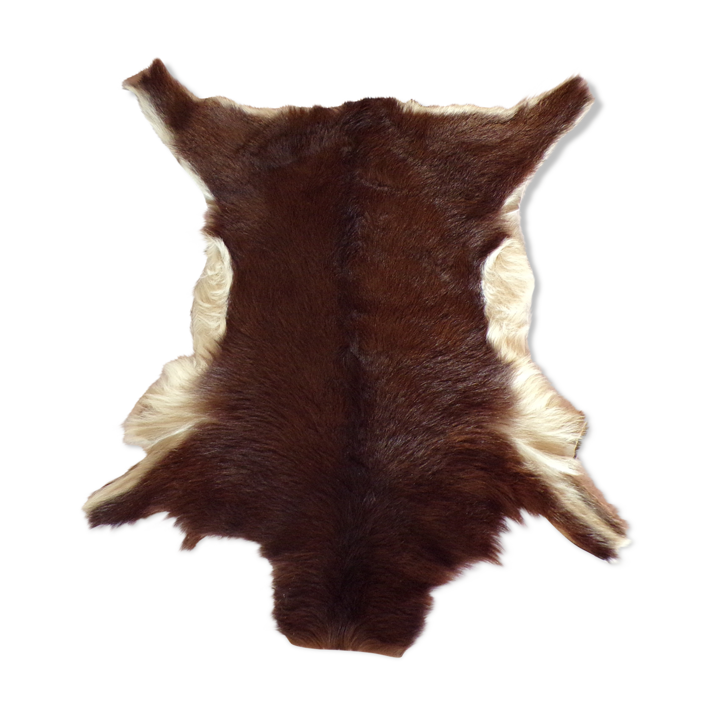 Peau de chevreau naturelle 65x53