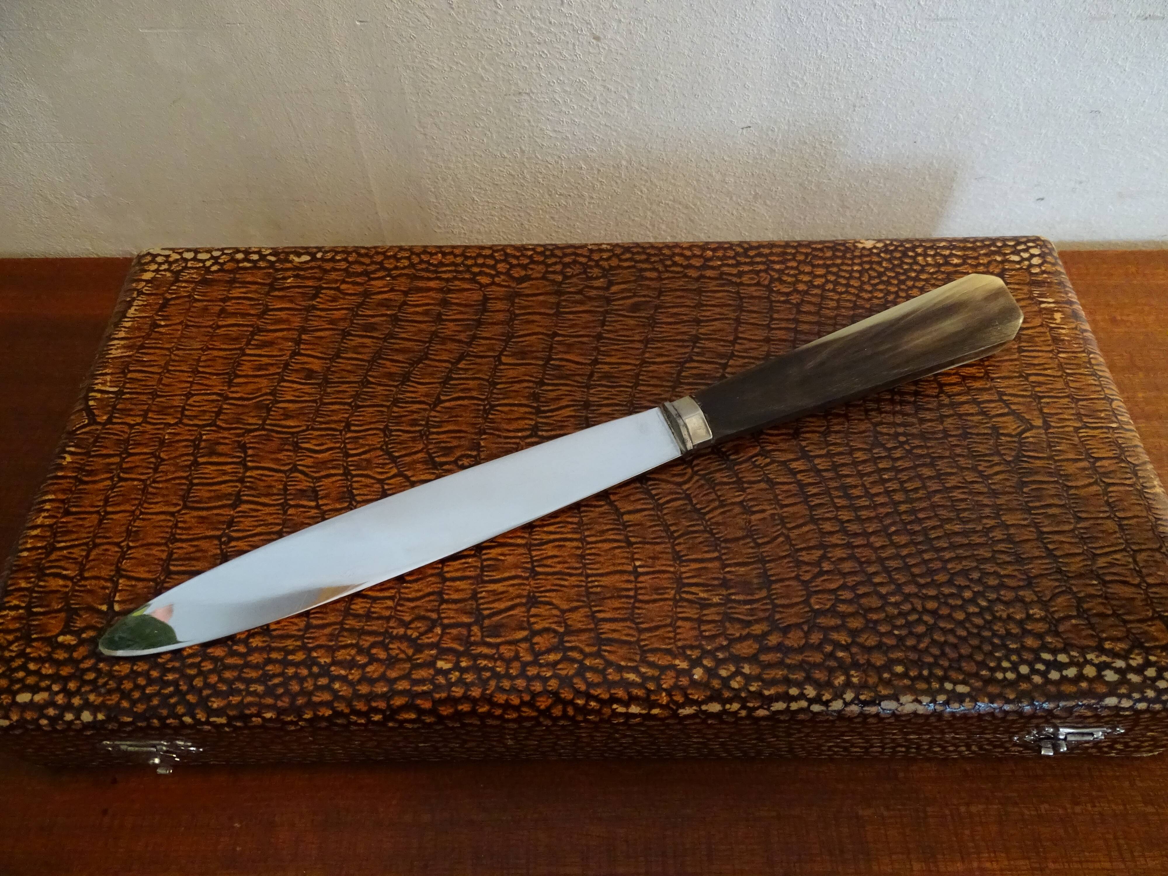 12 vintage dessert knives Pradel horn sleeves in case