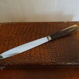 12 vintage dessert knives Pradel horn sleeves in case