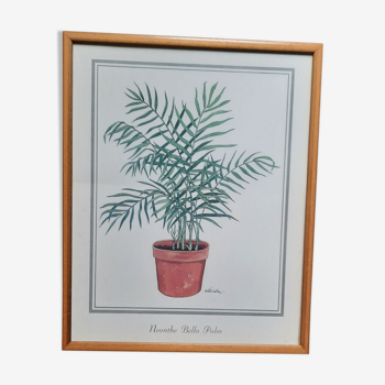 Green plant illustration