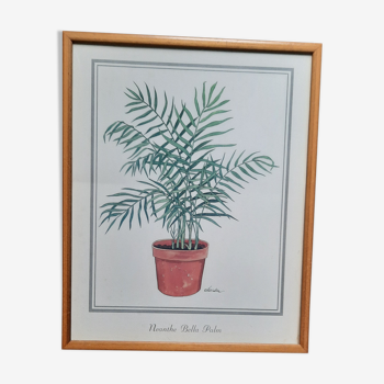 Illustration plante verte