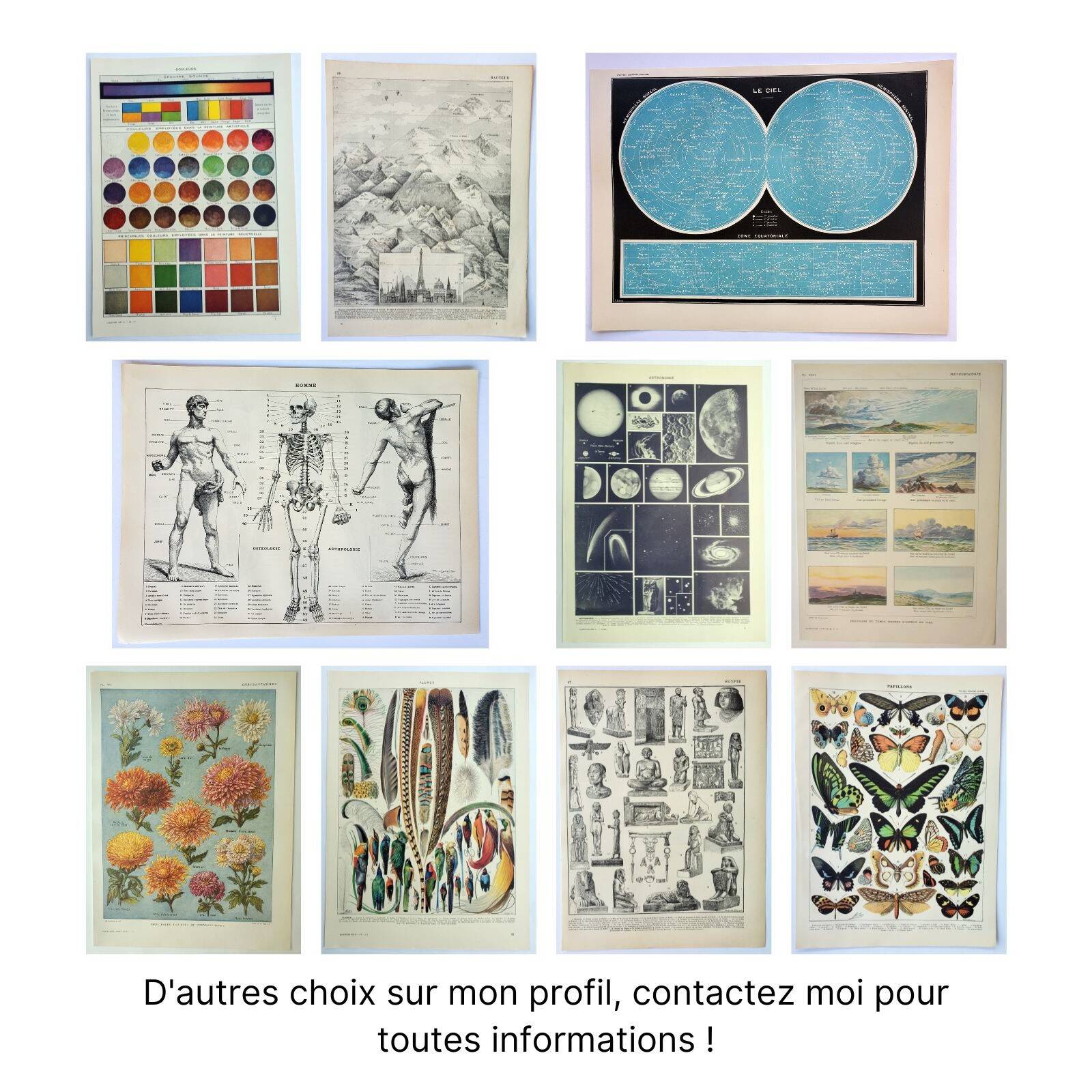 Antique engraving 1928, Man, anatomy, biology, medicine • Lithograph, original illustration