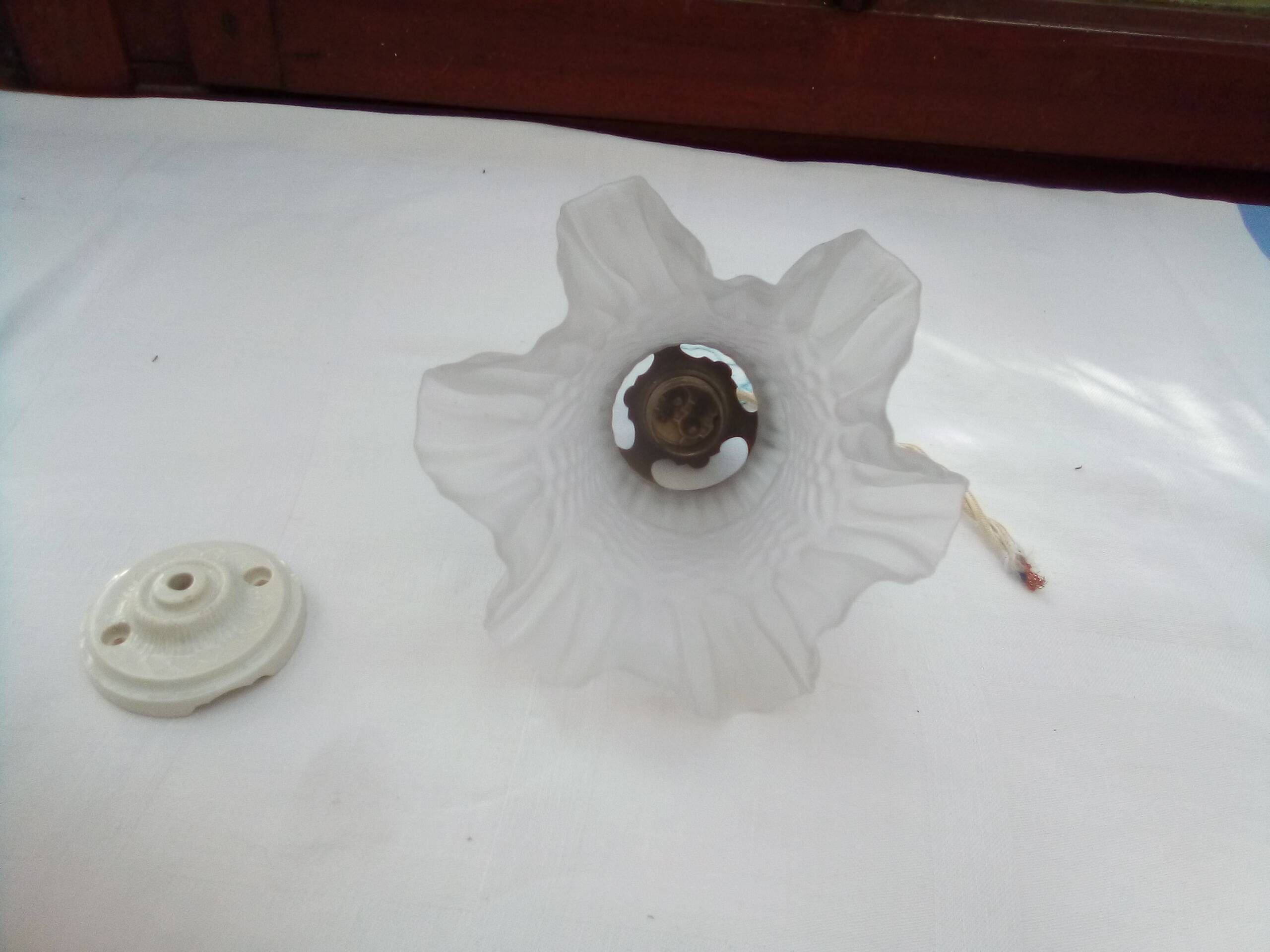 Glass tulip pendant light
