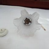 Glass tulip pendant light