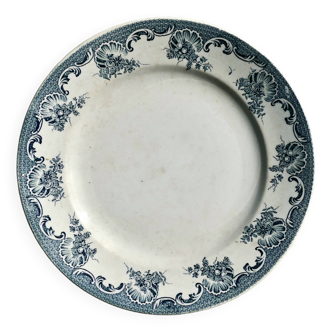 Iron earth dish