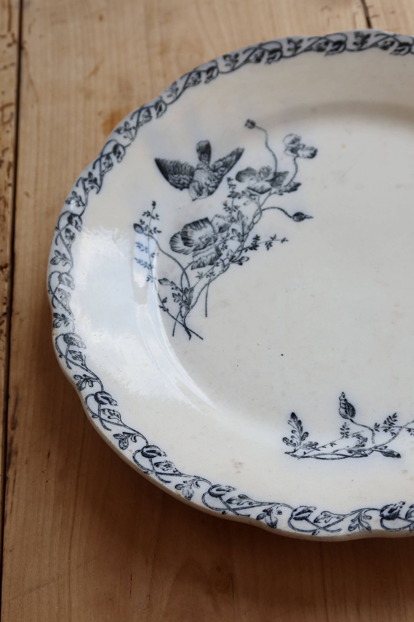 Assiette plate terre de fer Onnaing - Décor végétal bleu