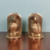 Greenhouse books "chouette" brass