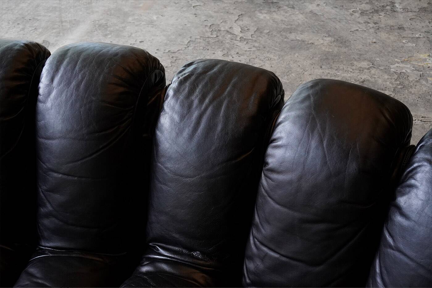 De Sede DS600 snake sofa in black leather by Ueli Berger, Switzerland 1970s