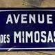 Plaque émaillée bombée de rue "Avenue des Mimosas"