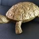 Empty vintage animal bronze pocket