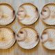 6 flat plates fish décor in slurry Sarreguemines vintage