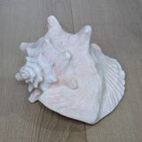 Heavy Marine Shell "Lambi" (Strombus Gigas) - Pink Interior - 1.37 kg