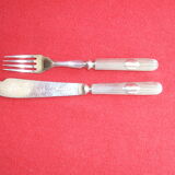 Covered with silver metal fish