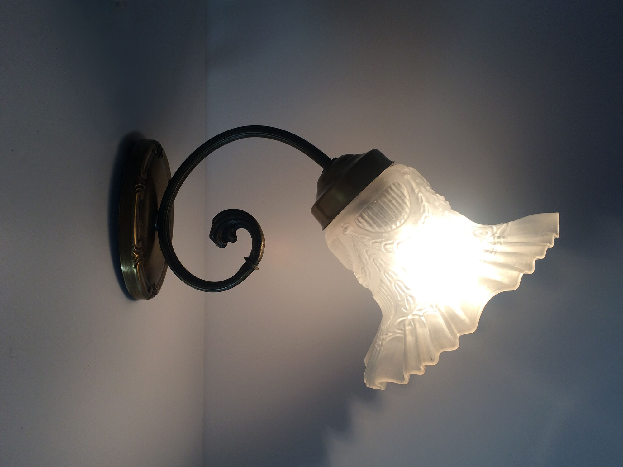 Pair of brass swan collar wall light old tulip glass. Year 60