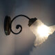 Pair of brass swan collar wall light old tulip glass. Year 60