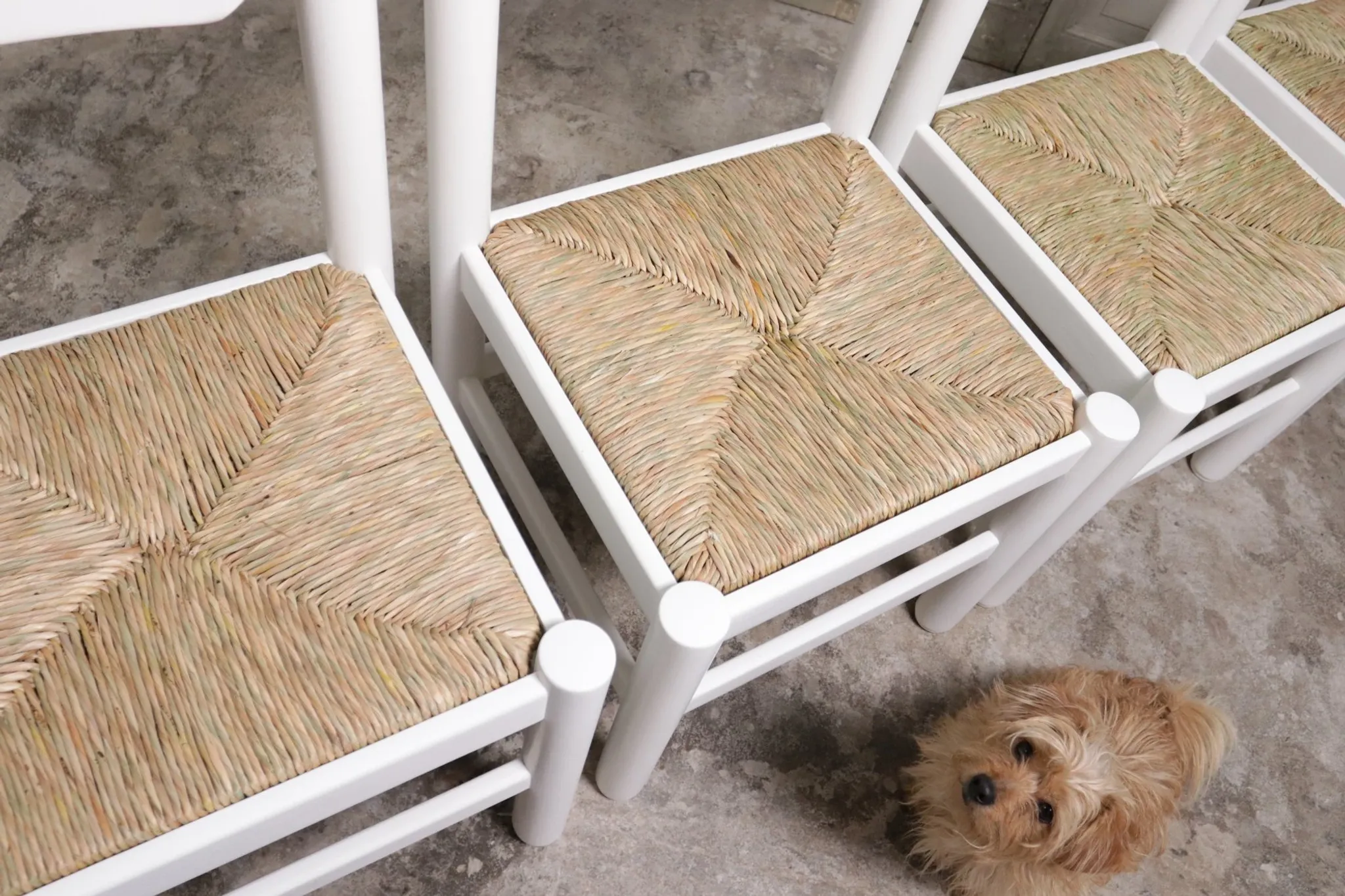 Set of 4 white rush dining chairs – Magistretti / Perriand style, 1970s