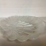 Scallop shell ring holder