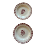 Set of saline hollow plates of iron earth with flowers