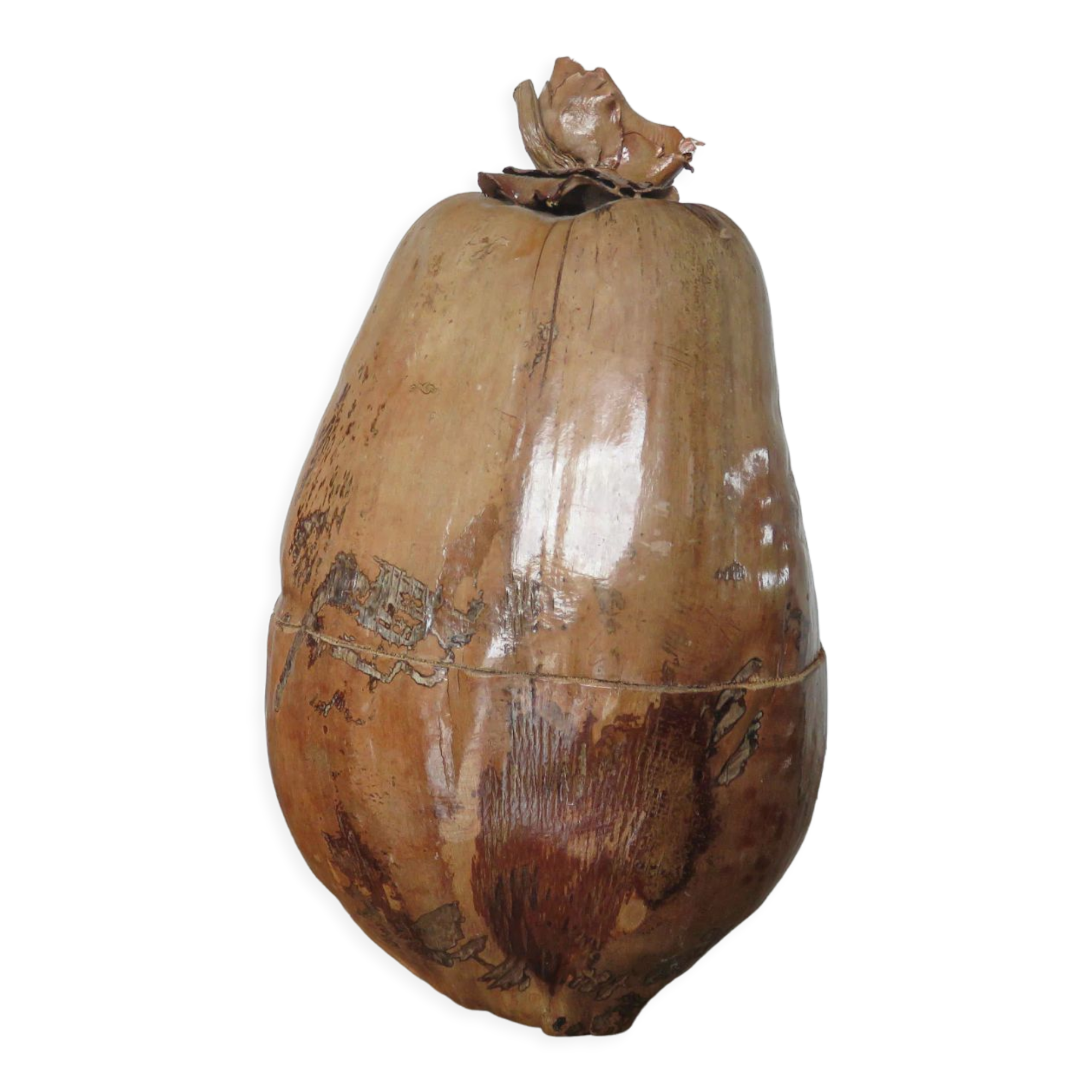 Naturalized coconut ice bucket 1970