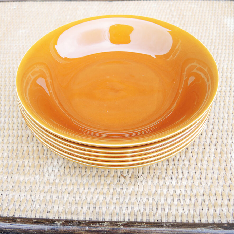 Antique earthenware dinner service from Salins (36 pcs)