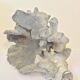 Ancien corail bleu