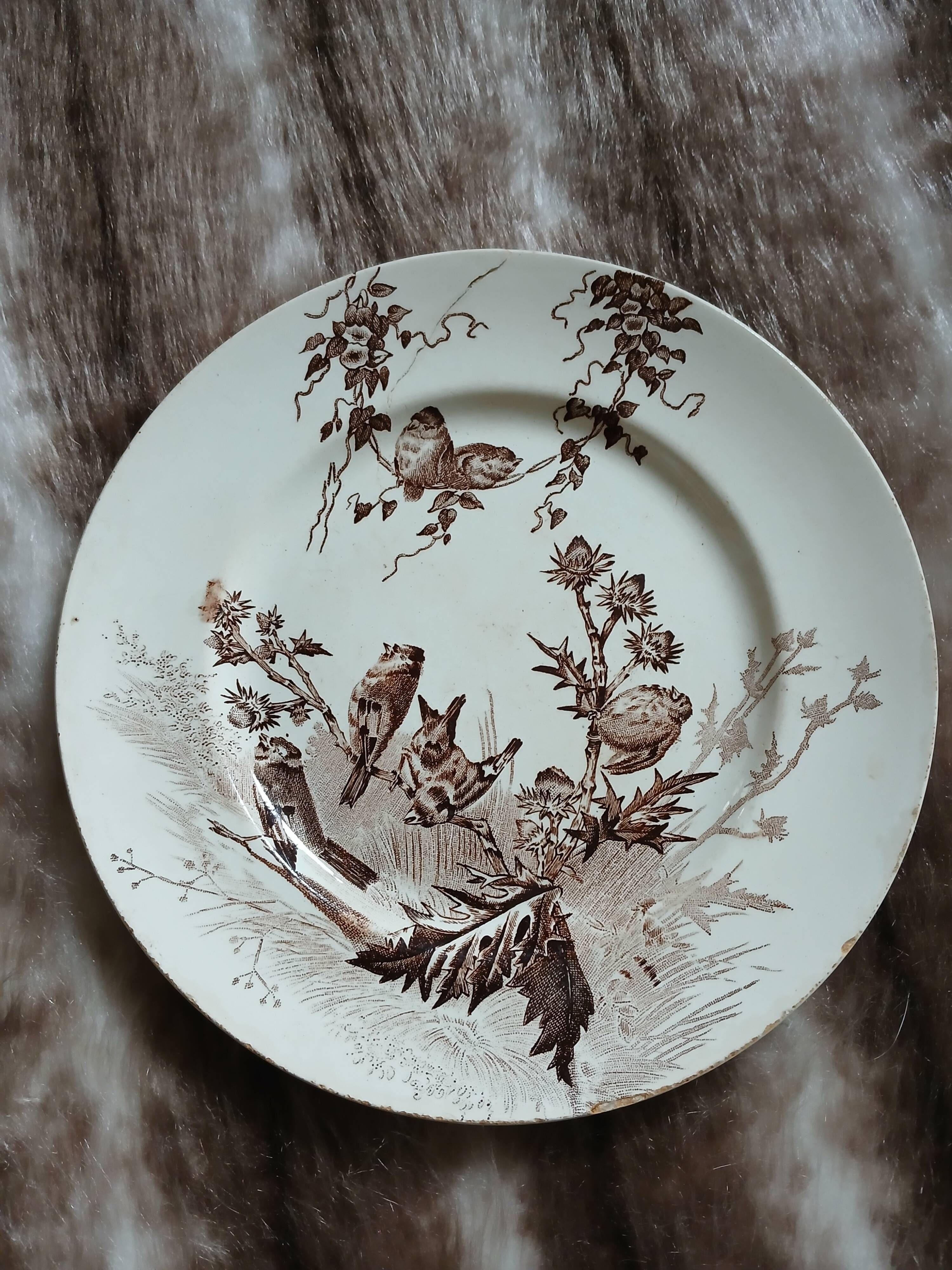 10 antique flat plates in ironstone
