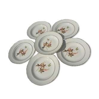 Service de 2 Assiettes en porcelaine blanche moucheté noir liseré noir