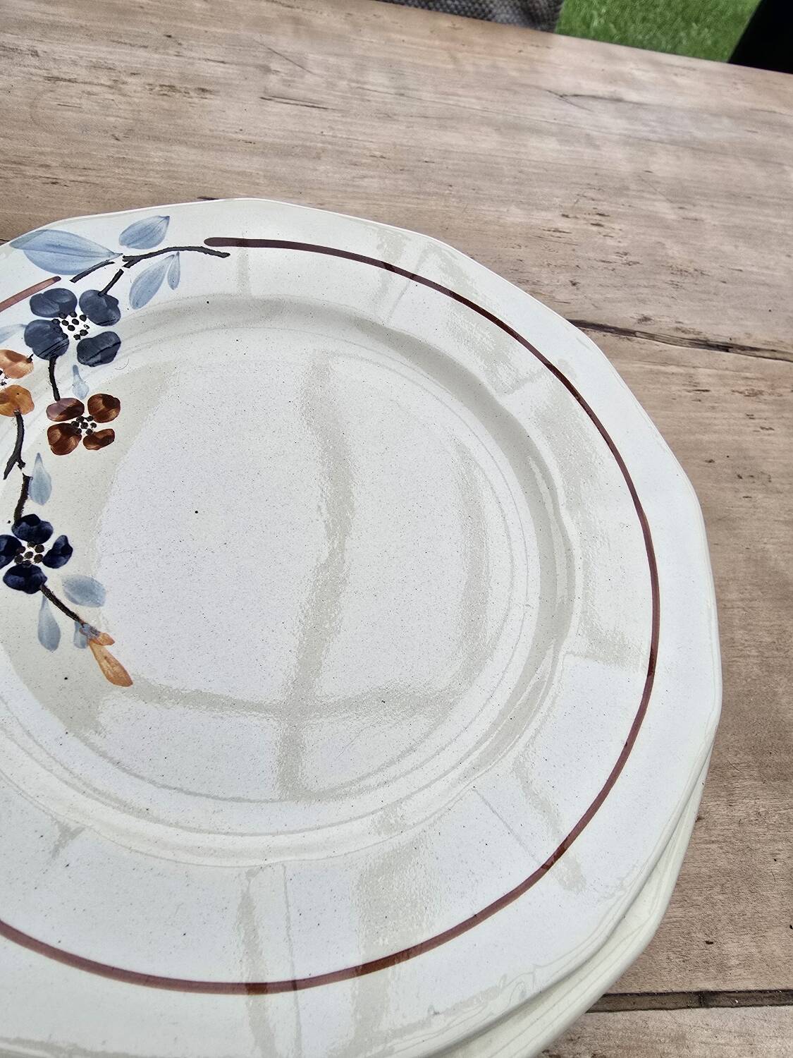 9 Sarreguemines plates model 5041