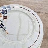 9 Sarreguemines plates model 5041