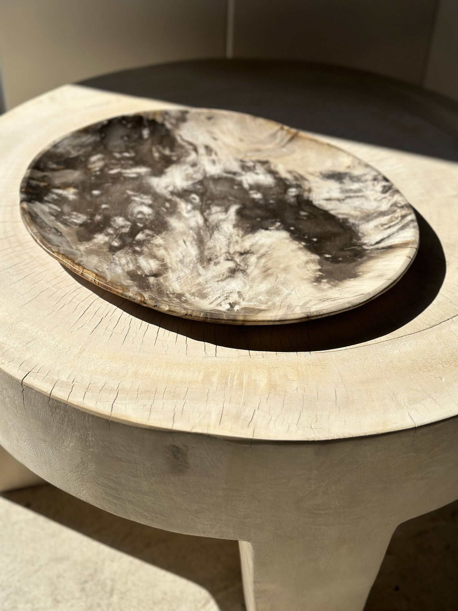 Très grand vide poche ou plat en bois pétrifié