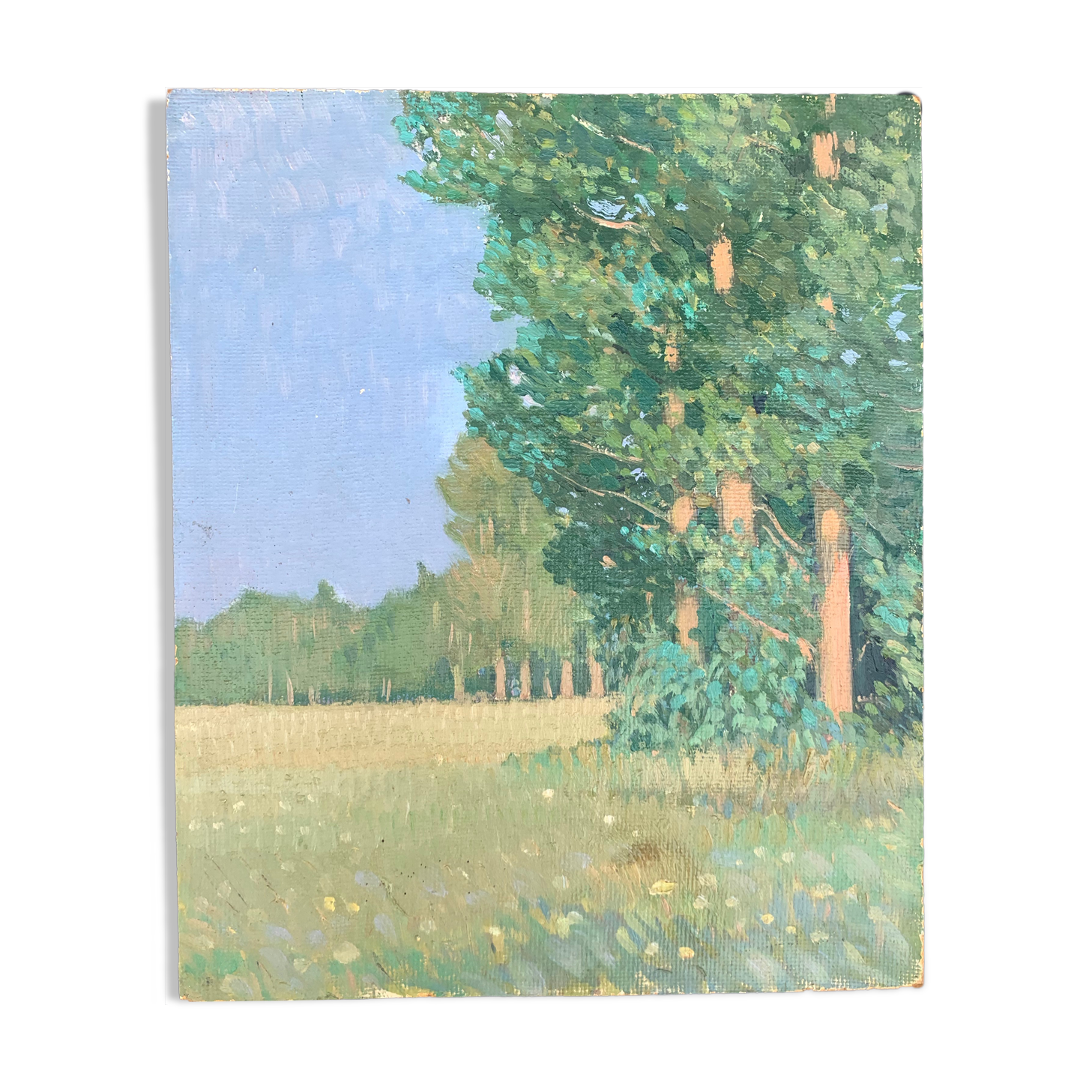 The clearing. Oil on cardboard 1920