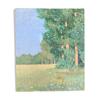 The clearing. Oil on cardboard 1920