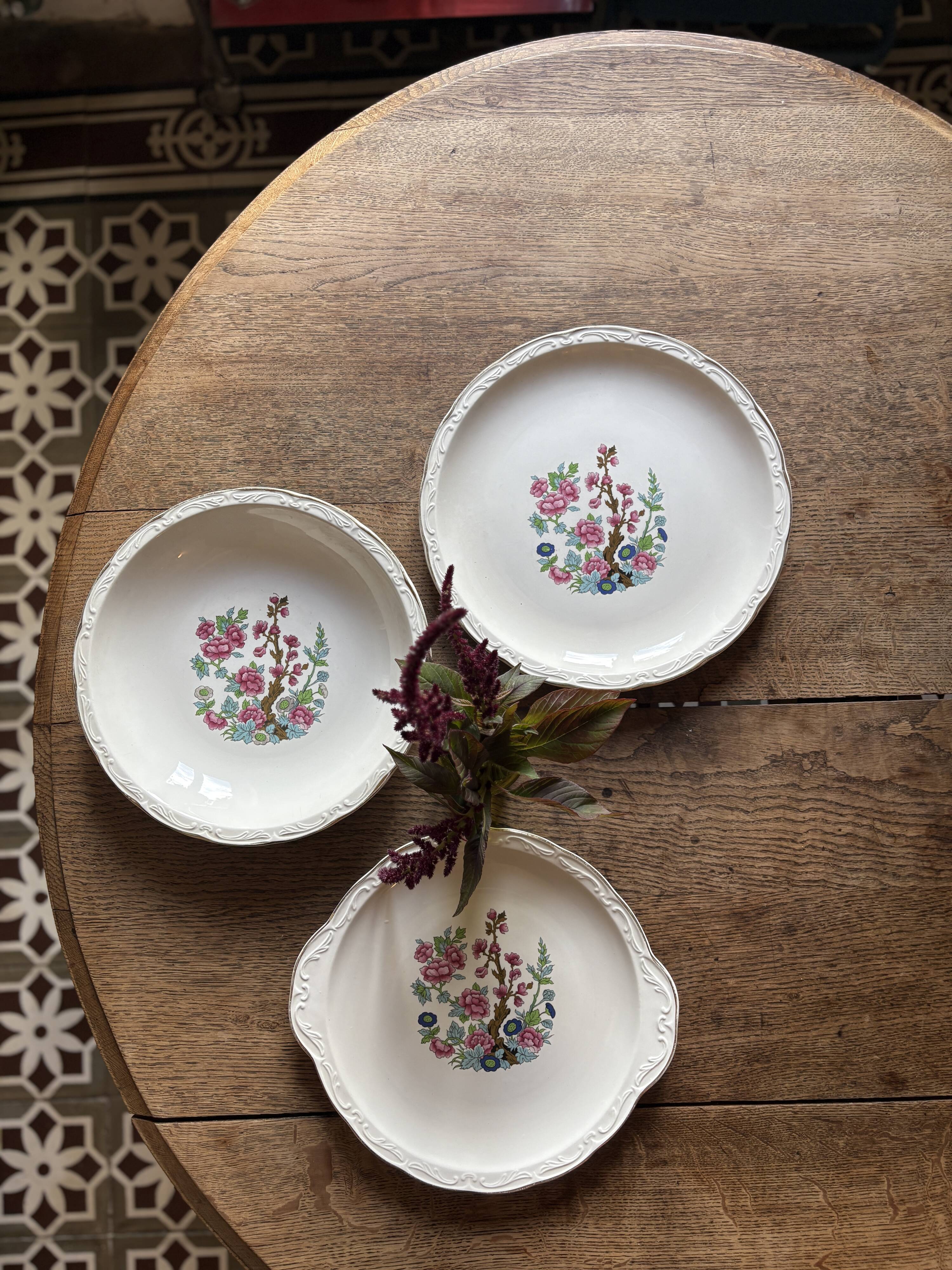 Set of 3 vintage plates, "Indian Tree" pattern by Digoin