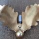 Wall lamp in gilded metal