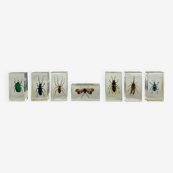 Set of 7 insect inclusions in resin