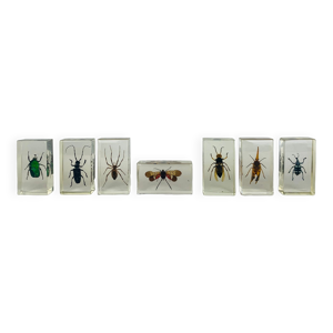 Lot de 7 insectes inclusions en