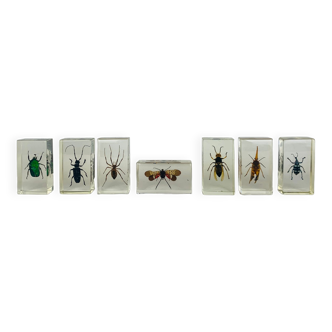 Lot de 7 insectes inclusions en résine