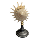 Cabinet of Curiosities stellaria solaris shell on base