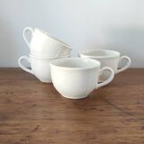 Villeroy and Boch Tea or Coffee Cup Set