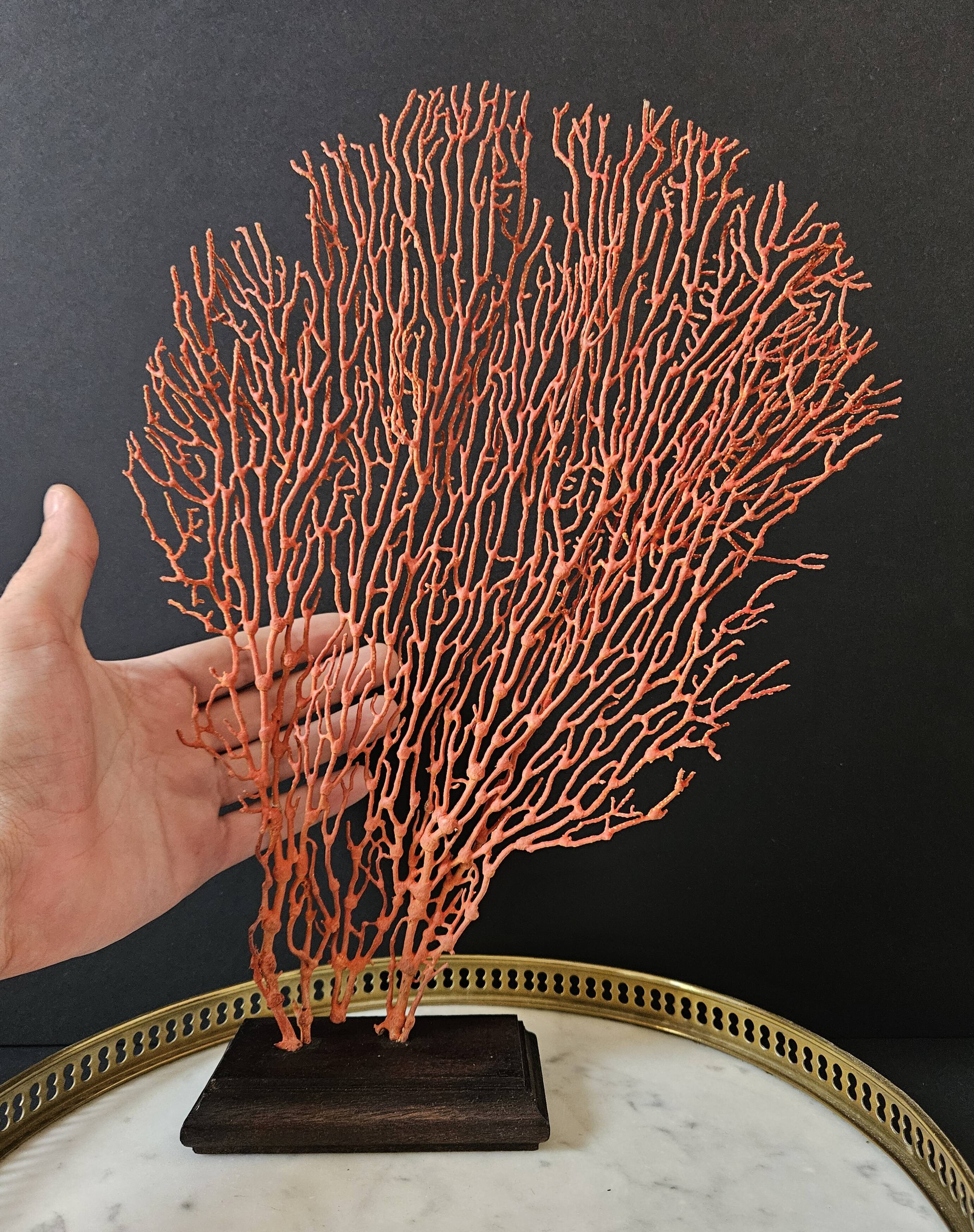 Red Gorgon Wooden Base. H: 34 cm