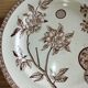 Antique ironstone plate with brown floral decoration – late 19th century