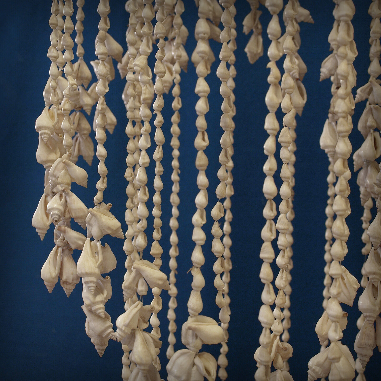 Balinese hanging lamp in curly shells