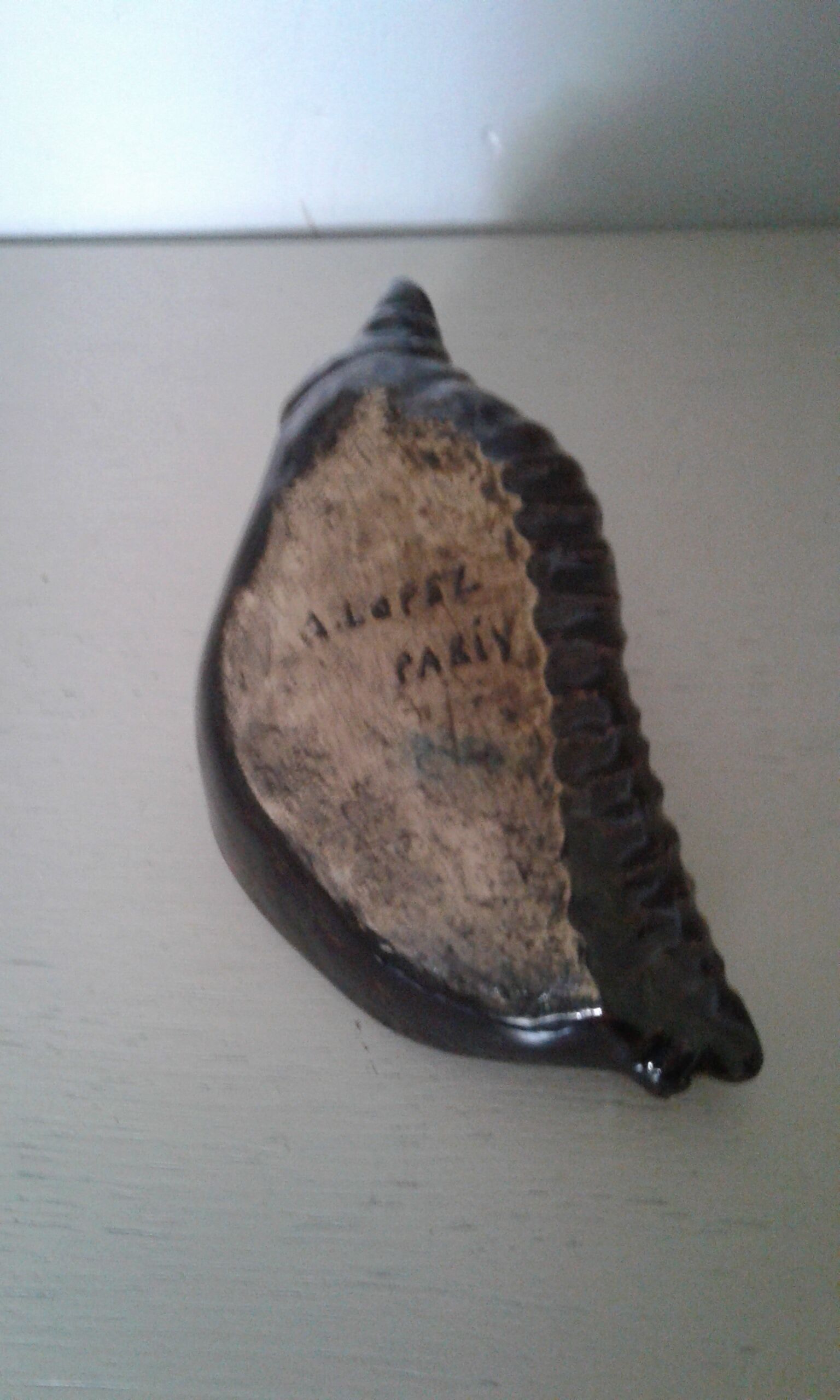 Empty dabshell signed pocket